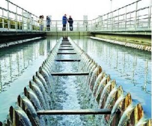 污水廠進水營養(yǎng)不均衡怎么辦