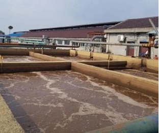 出水氨氮大于進(jìn)水氨氮，怎么回事？