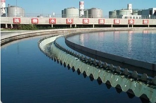 反硝化浮泥該如何預(yù)防？你知道嗎？