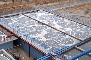 如何除去污廢水中的氮？