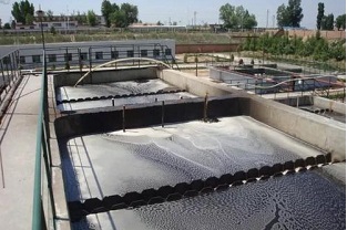 厭氧生物處理的影響因素有哪些？