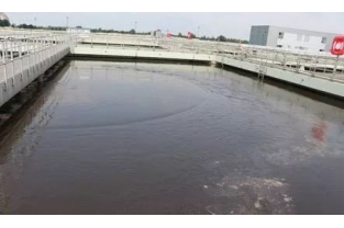 水處理中如何投加藥劑，才能讓脫氮更有效？