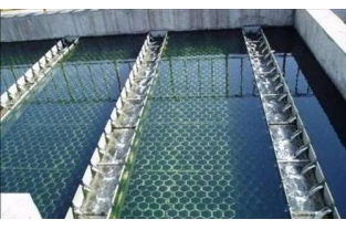 【干貨】生物濾池為什么一受沖擊氨氮去除率就會下降？