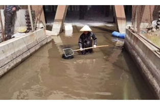 如何對(duì)活性污泥進(jìn)行科學(xué)管控？