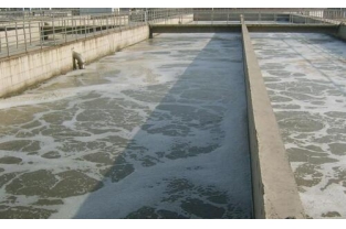 污水處理如何培養(yǎng)菌種？