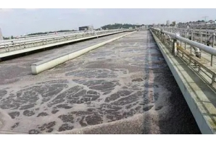 【重要】水中溶解氧越高，處理效果越好么？