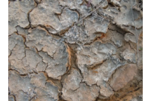 高鹽廢水生化系統(tǒng)如何穩(wěn)定運(yùn)行？