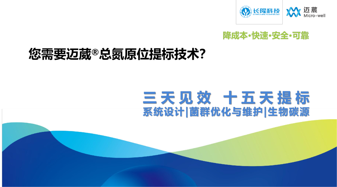 邁葳總氮提標(biāo)技術(shù)
